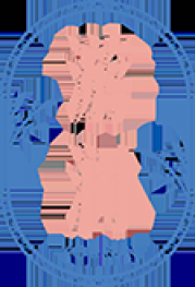 游润 YOURUN