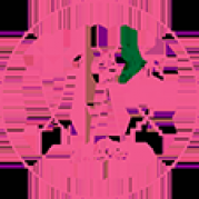 艾悦姿 AIJOYZI